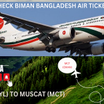 Air Ticket Online