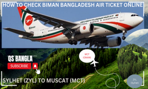 Air Ticket Online